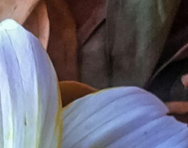 Foto del perfil de rv rr